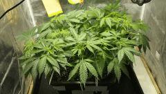 SSH rempoter en 18 litres et mis sous 400 mh