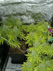 Photo de groupe