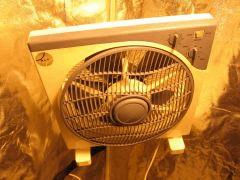 IMG 4359