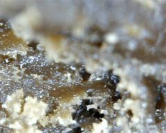 macro extraction DME 2