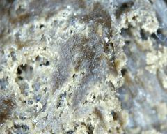 macro extraction DME