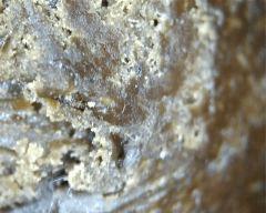 macro extraction DME 1