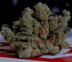 Sour Diesel  20 Jrs curring  2
