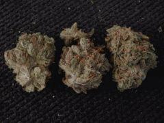 Bubble, Amné, AK47