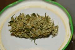 sugarberry nuggets