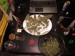 Petite journee au taff !