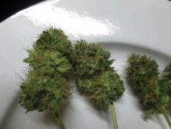 Pineapple Chunk