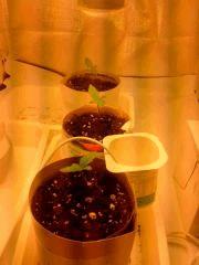 IMG 20140301 213028