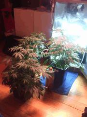 IMG 20140410 011410