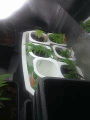 IMG 20140421 225134