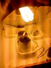 IMG 20140227 202731