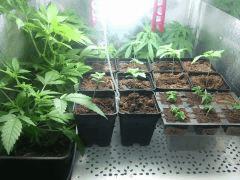 IMG 20140516 010907