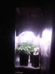 IMG 20140325 000306