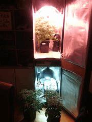 IMG 20140412 041459 1