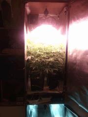 IMG 20140414 223729