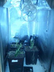 IMG 20140516 011256