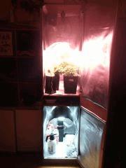 IMG 20140323 205251