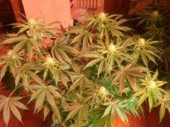 IMG 20140419 204505