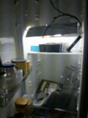 DSC_0483 (Copier).JPG