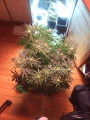 IMG 20140419 205419