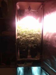 IMG 20140414 223730 3