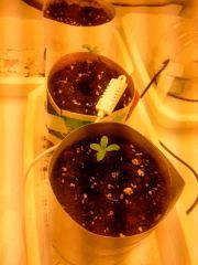 IMG 20140227 202743