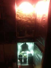 IMG 20140422 233858