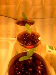 IMG 20140302 210134