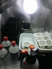 IMG 20140402 012022