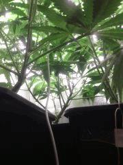 IMG 20140416 054325