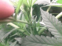 IMG 20140403 230025