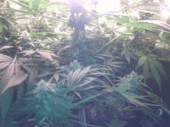 IMG 20140509 020311