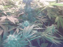 IMG 20140509 020304