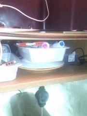 IMG 20140504 030242