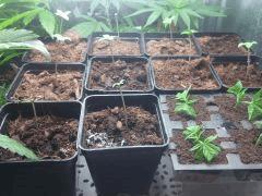 IMG 20140510 024149