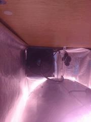 DSC 0537 (Copier)
