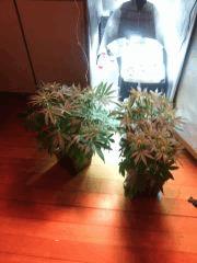 IMG 20140412 041512