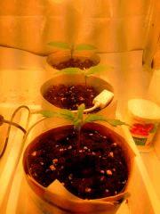 IMG 20140303 214008