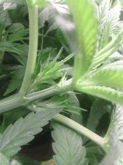 IMG 20140402 032030
