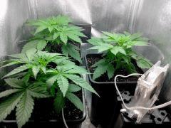 IMG 20140319 014950