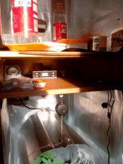 IMG 20140313 082831