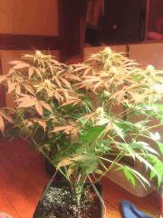 IMG 20140419 204442