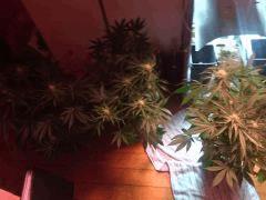IMG 20140421 231358