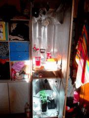 IMG 20140313 083109