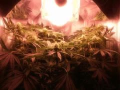 IMG 20140419 202119