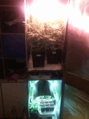 IMG 20140506 202753