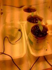IMG 20140302 235032