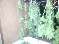 IMG 20140515 091500
