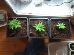 IMG 20140415 074307