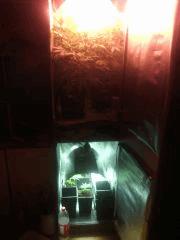 IMG 20140422 233915